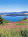 Le Lac d'Issarl&egrave;s